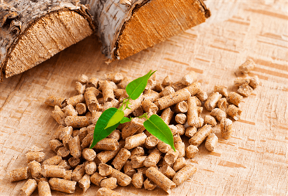 Wood Pellets: A New Energy Source for the Future