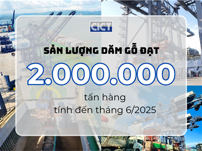 CICT đạt sản lượng 02 triệu tấn dăm gỗ